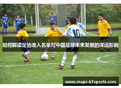如何解读足协准入名单对中国足球未来发展的深远影响