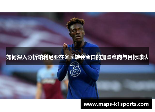 如何深入分析帕利尼亚在冬季转会窗口的加盟意向与目标球队